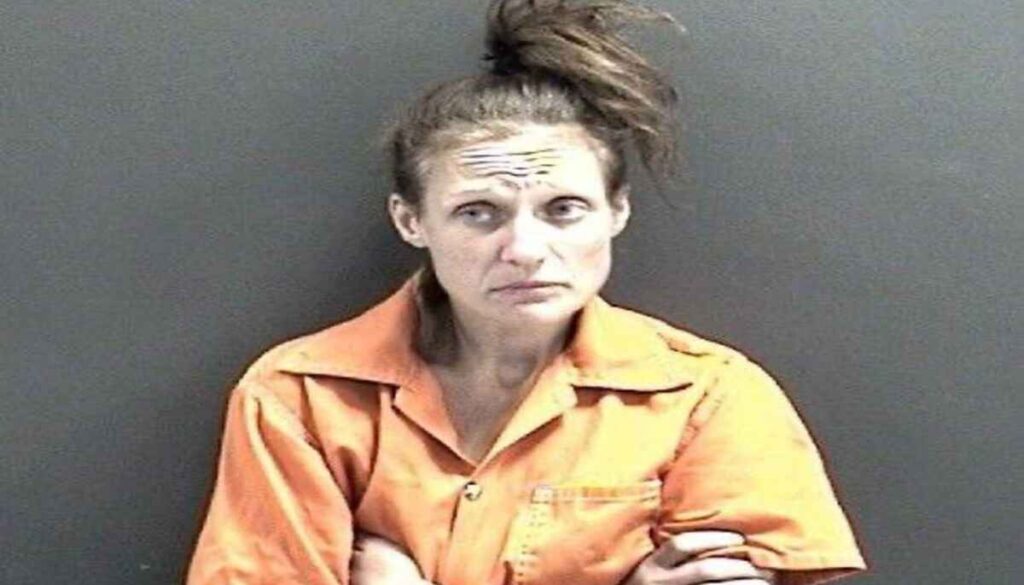 Salem High Football Field Incident: Woman's Attempt to Lure Children Ends in Misdemeanor Charge